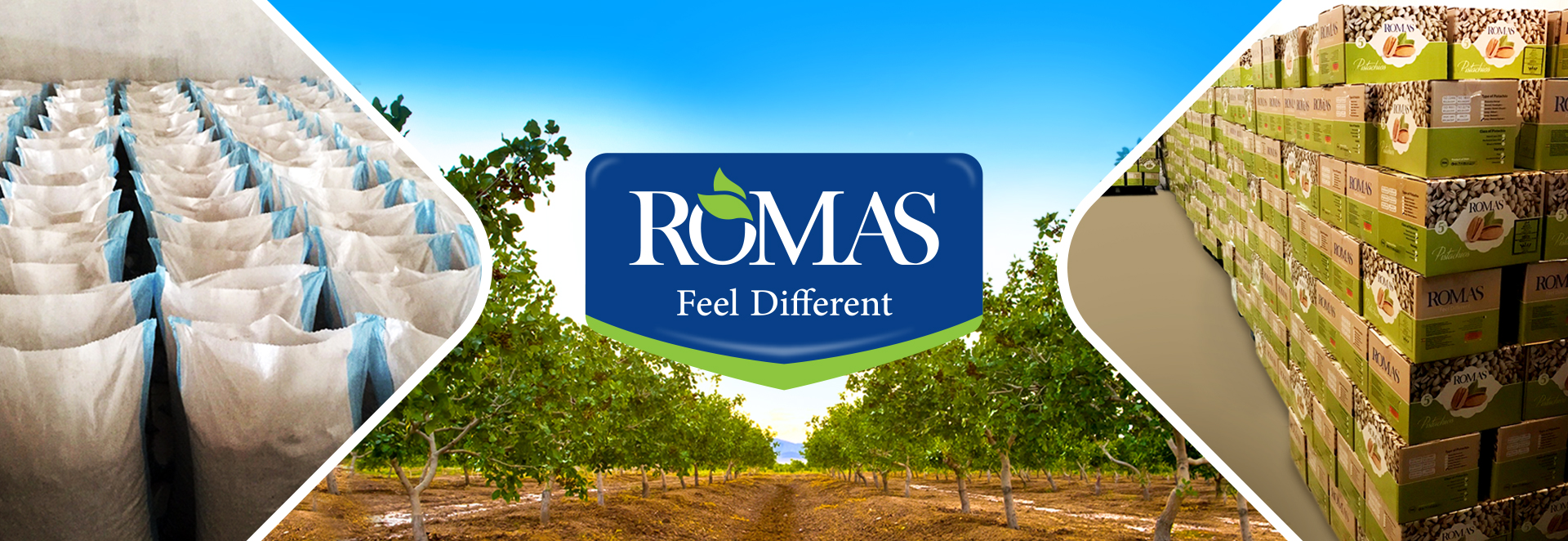 Romas feel different